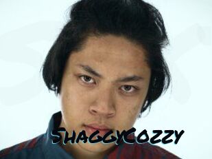 ShaggyCozzy