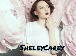 SheleyCarey