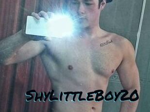 ShyLittleBoy20