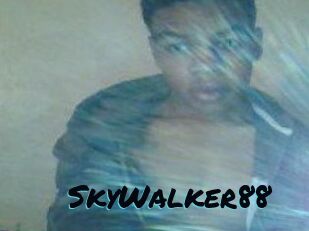 SkyWalker88