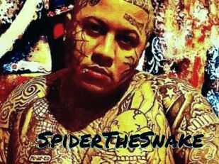 SpiderTheSnake
