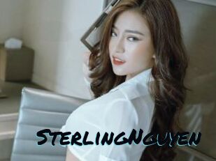 SterlingNguyen