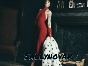 Sallynovak