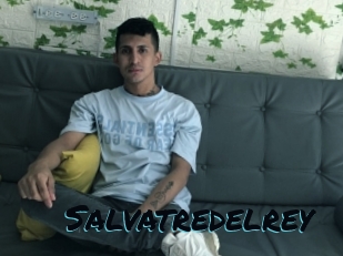 Salvatredelrey