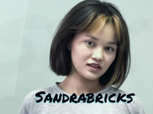 Sandrabricks