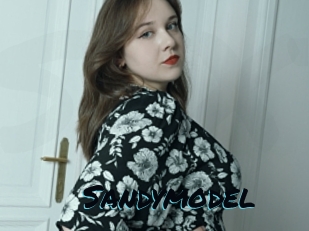 Sandymodel
