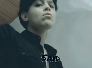 Sayd