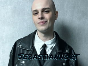sebastianhort Sexties