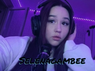 Selenagambee