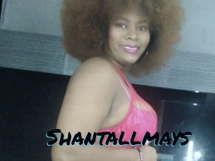 Shantallmays