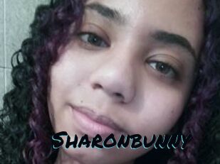 Sharonbunny