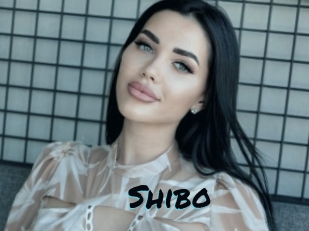 Shibo