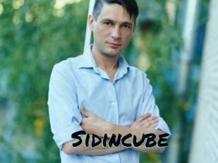 Sid_incube