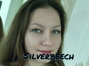 Silverbeech