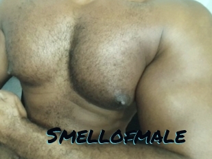 smellofmale Sexties