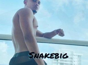 snakebig Sexties