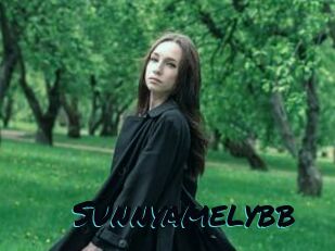 Sunnyamelybb