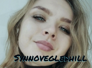 Synnovegledhill