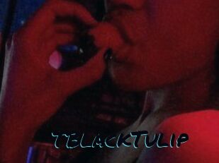 TBlackTulip