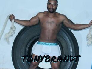 TONYBRANDT