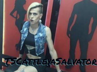 TSCattleyaSalvatore