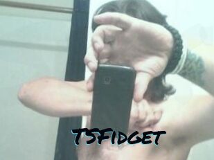 TSFidget