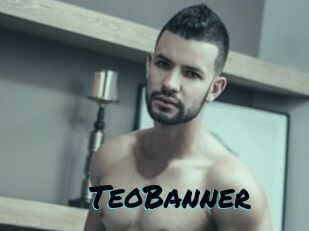TeoBanner