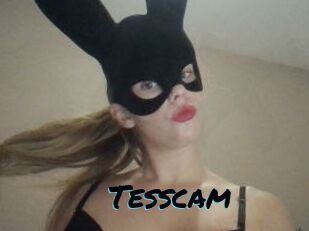 Tesscam