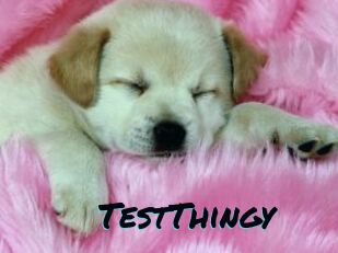 TestThingy