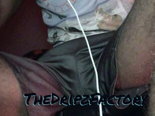 TheDripzFactory