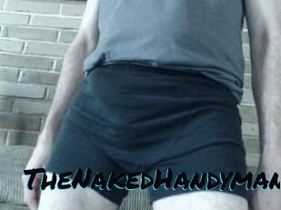 TheNakedHandyman