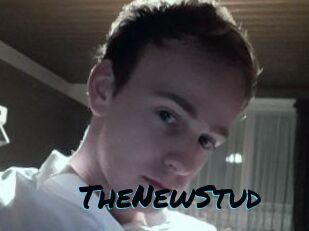 TheNewStud