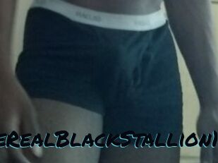 TheRealBlackStallion1