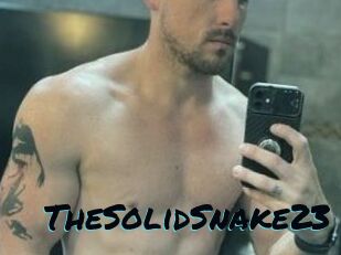 TheSolidSnake23