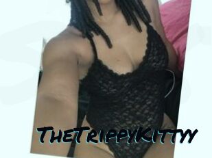 TheTrippyKittyy
