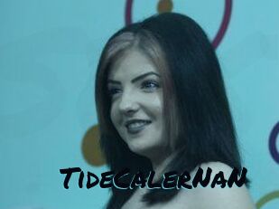 TideCalerNaN