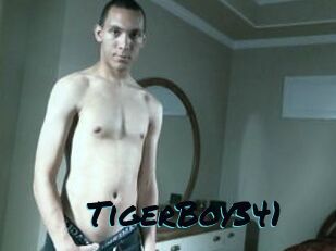 TigerBoy341