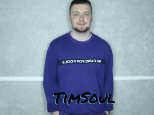 TimSoul