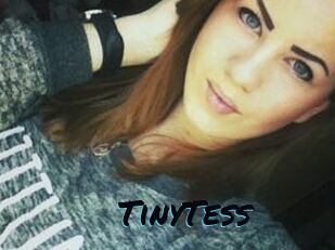 TinyTess