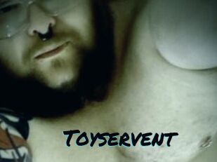 Toyservent Sexties