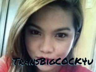 TransBigCOCK4u