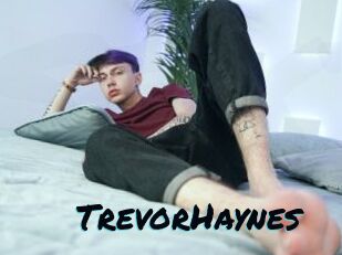 TrevorHaynes Sexties