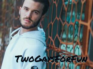 TwoGaysForFun
