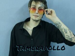 Tamerapollo