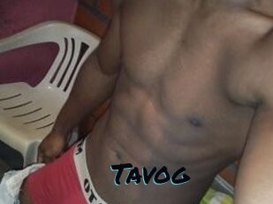 Tavog