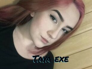 Taya_exe