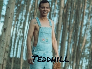 Teddhill