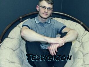 Teddybizon