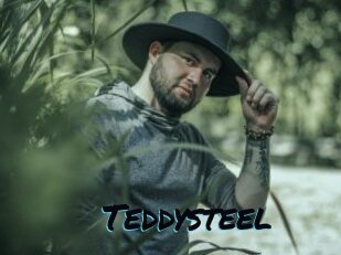 Teddysteel