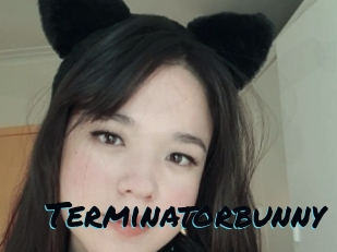 Terminatorbunny
